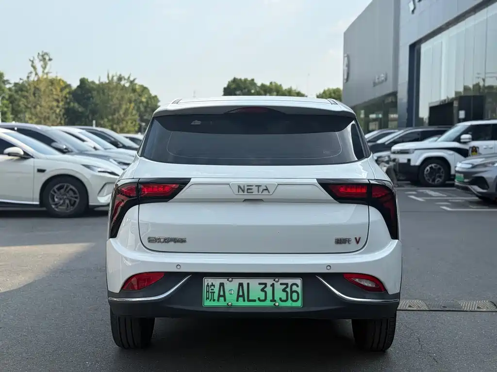 Neta Neta V — миниатюра 9