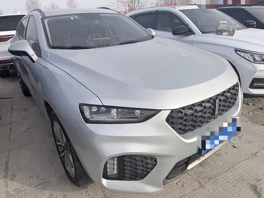 WEI PAI WEI BRAND VV7