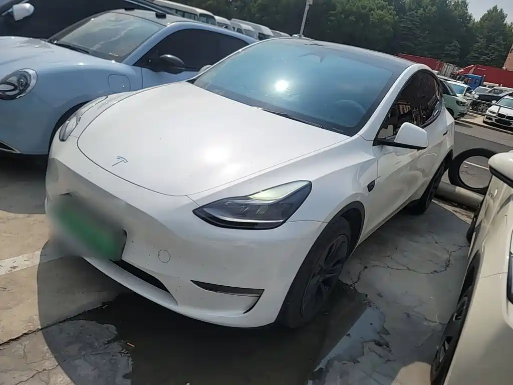 Tesla Model Y — миниатюра 2