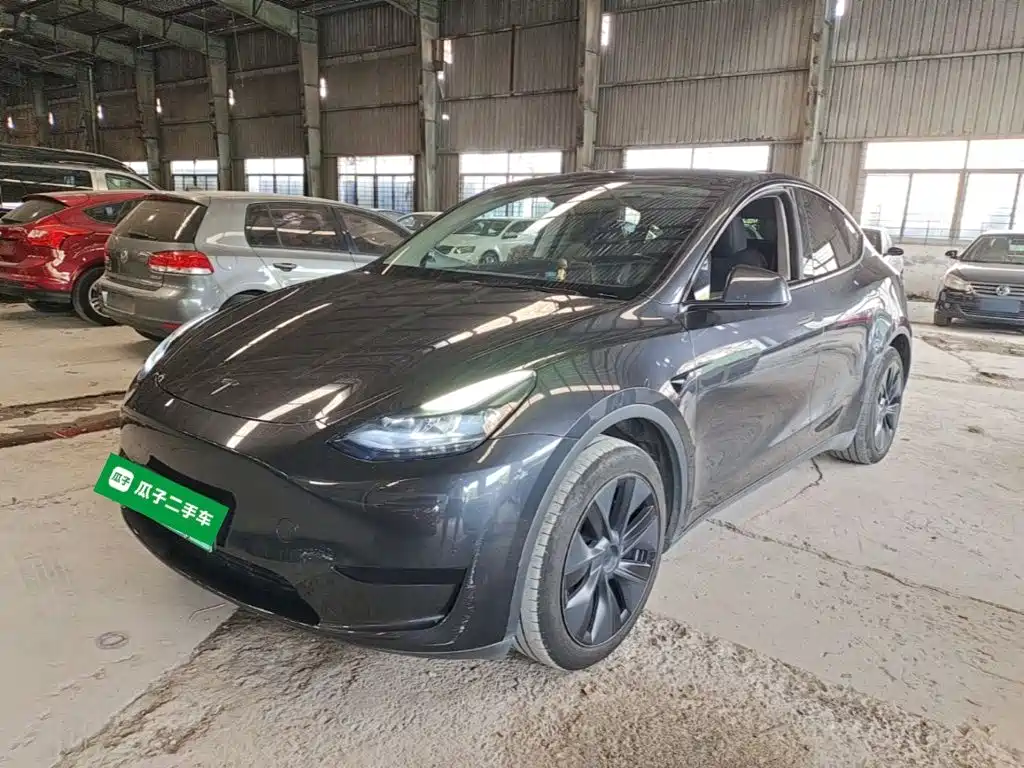 Tesla Model Y — миниатюра 2
