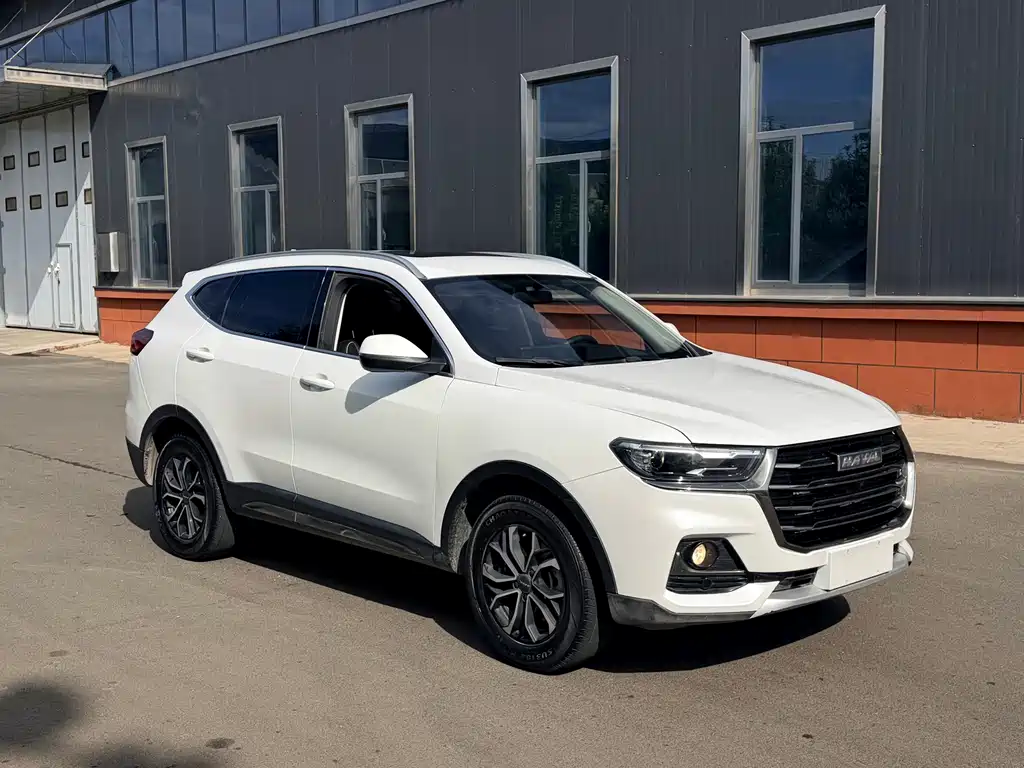 Haval H6 — миниатюра 4