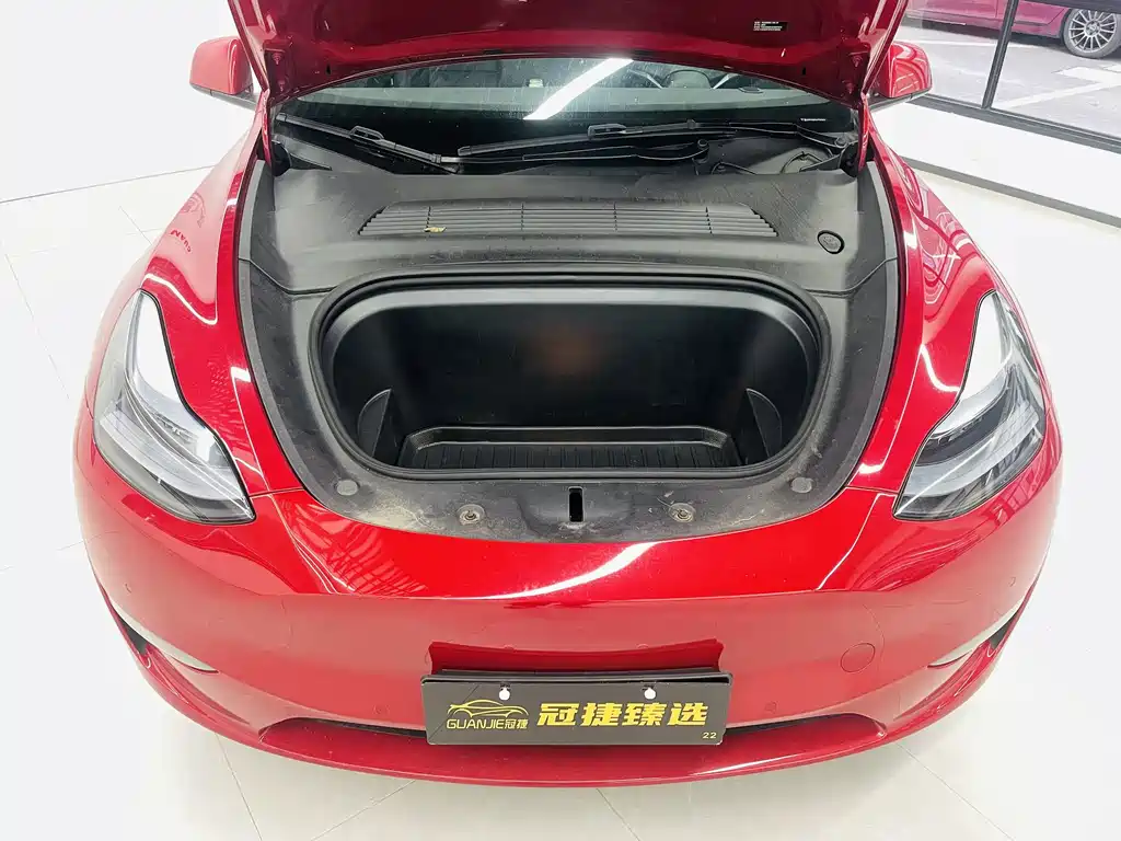 Tesla Model Y — миниатюра 2