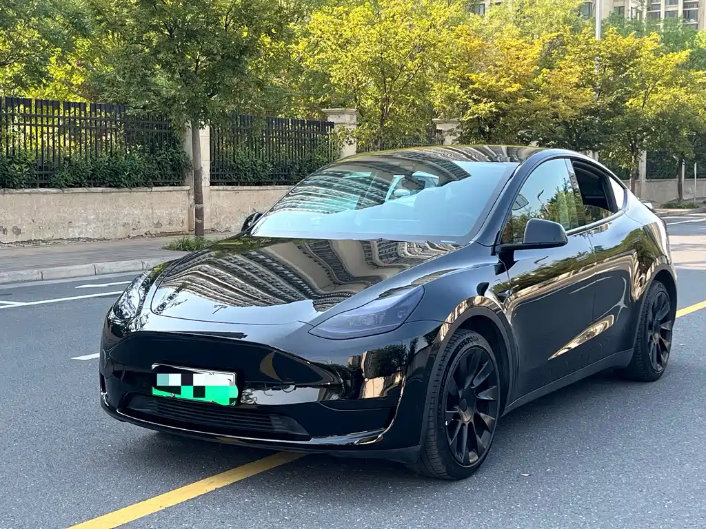 Tesla Model Y — миниатюра 2