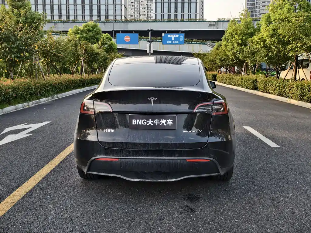 Tesla Model Y — миниатюра 5