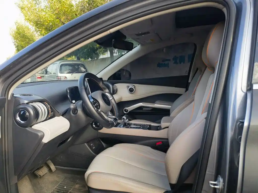 BYD Yuan Plus — миниатюра 8