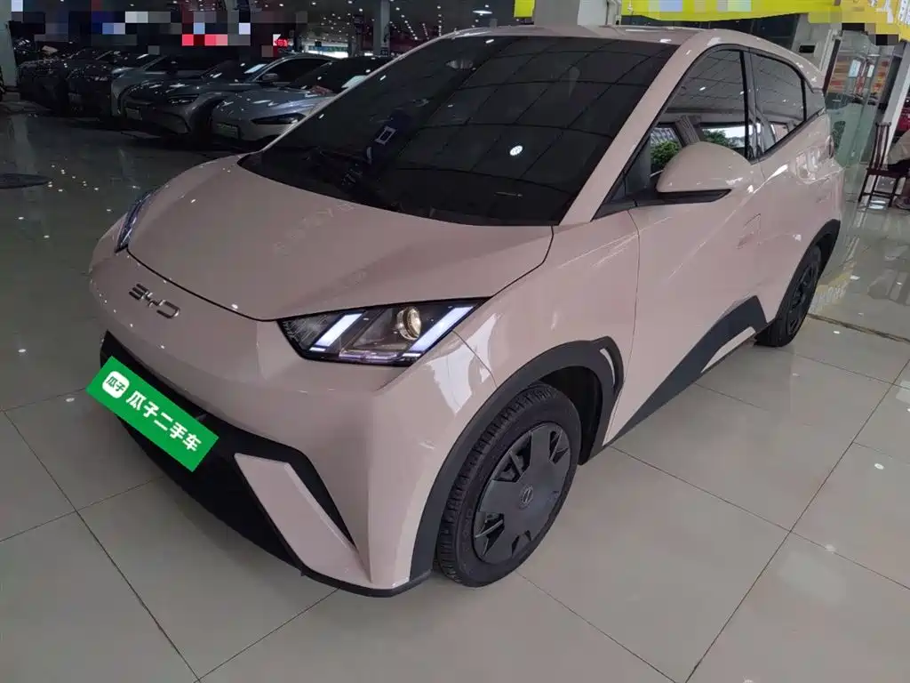 Byd Seagull 2024