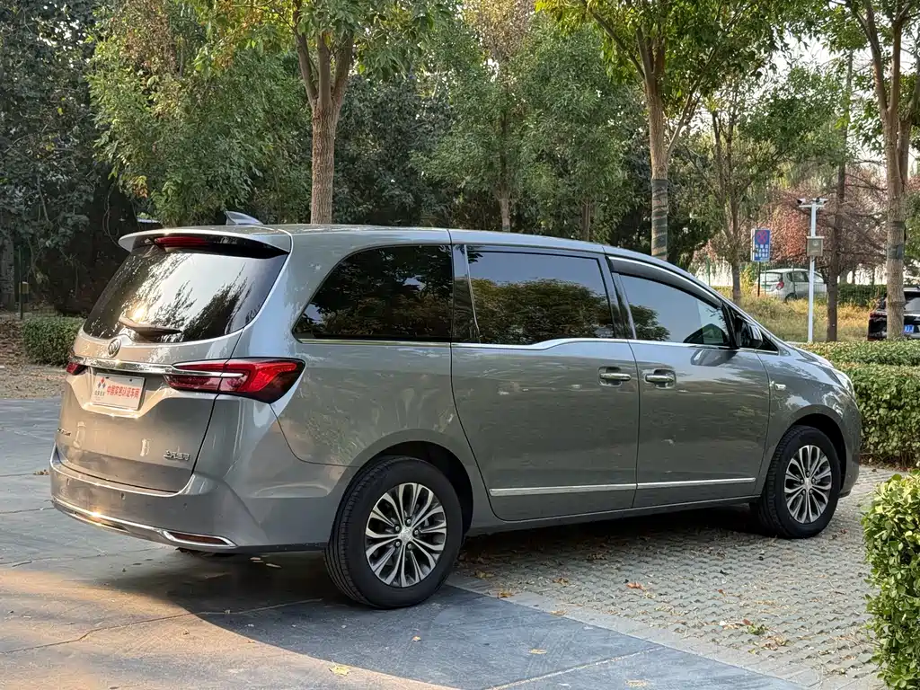 Buick GL8 — миниатюра 19