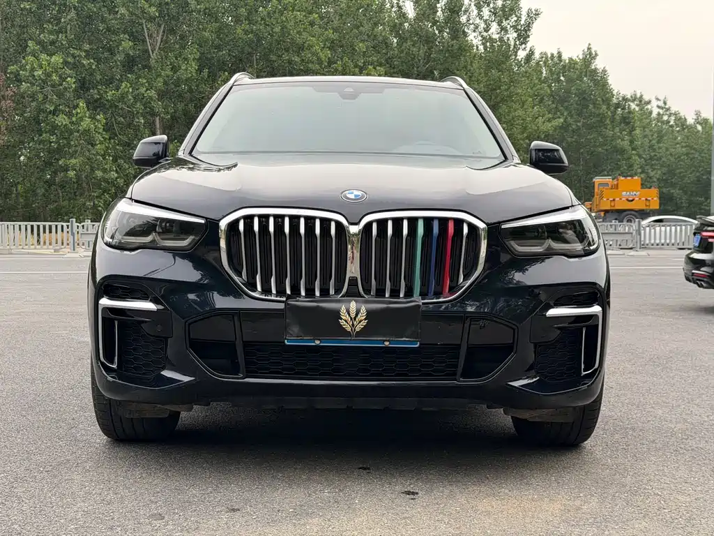 BMW X5 2022 xDrive 30Li M Sport
