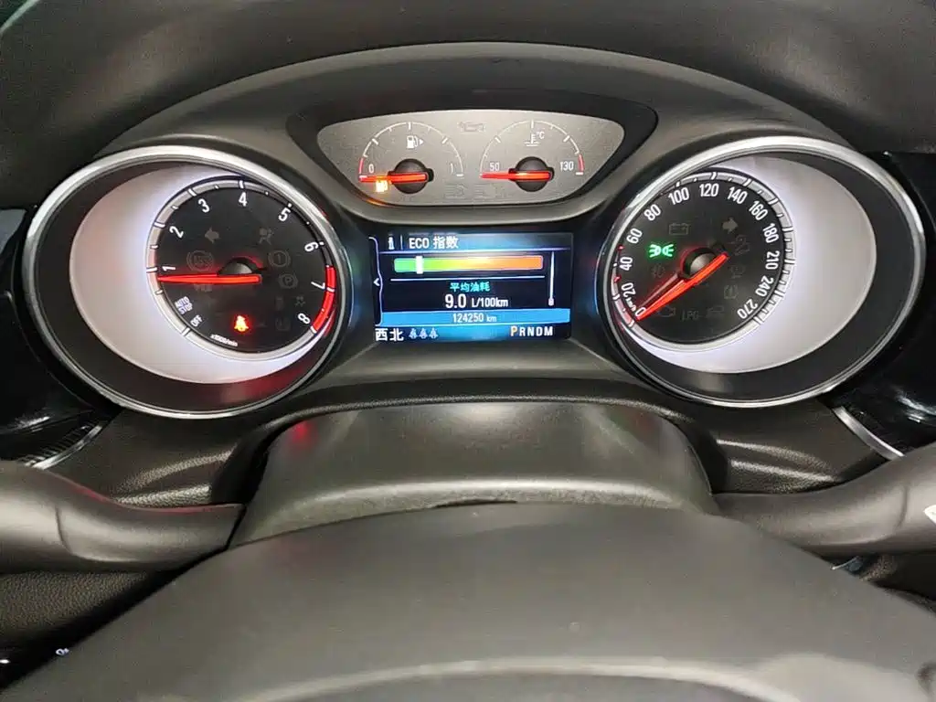 Buick Regal — миниатюра 12