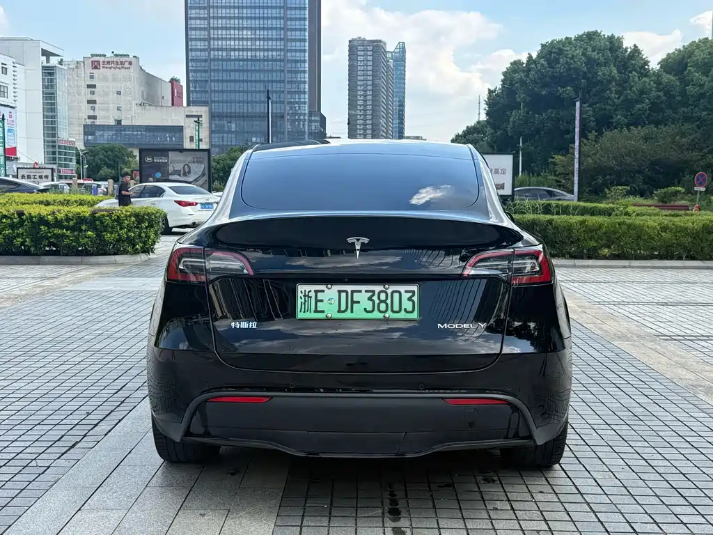 Tesla Model Y — миниатюра 7