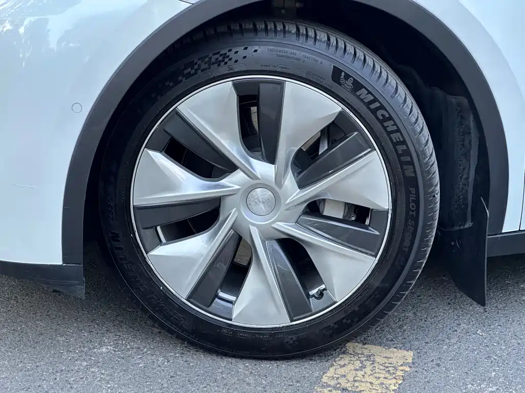 Tesla Model Y — миниатюра 5