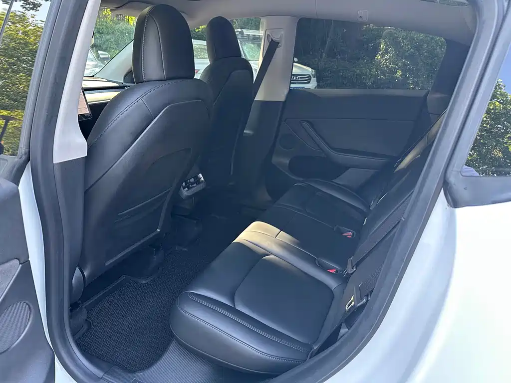 Tesla Model Y — миниатюра 12