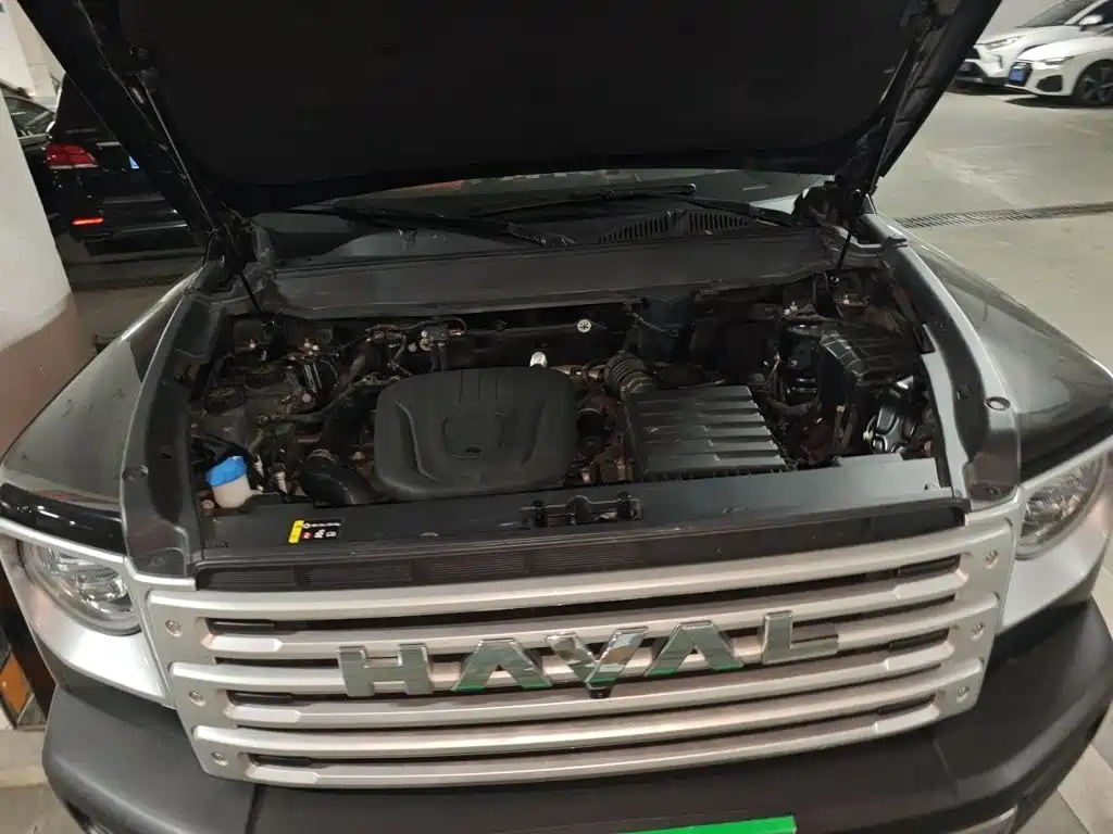Haval Menglong New Energy — миниатюра 16