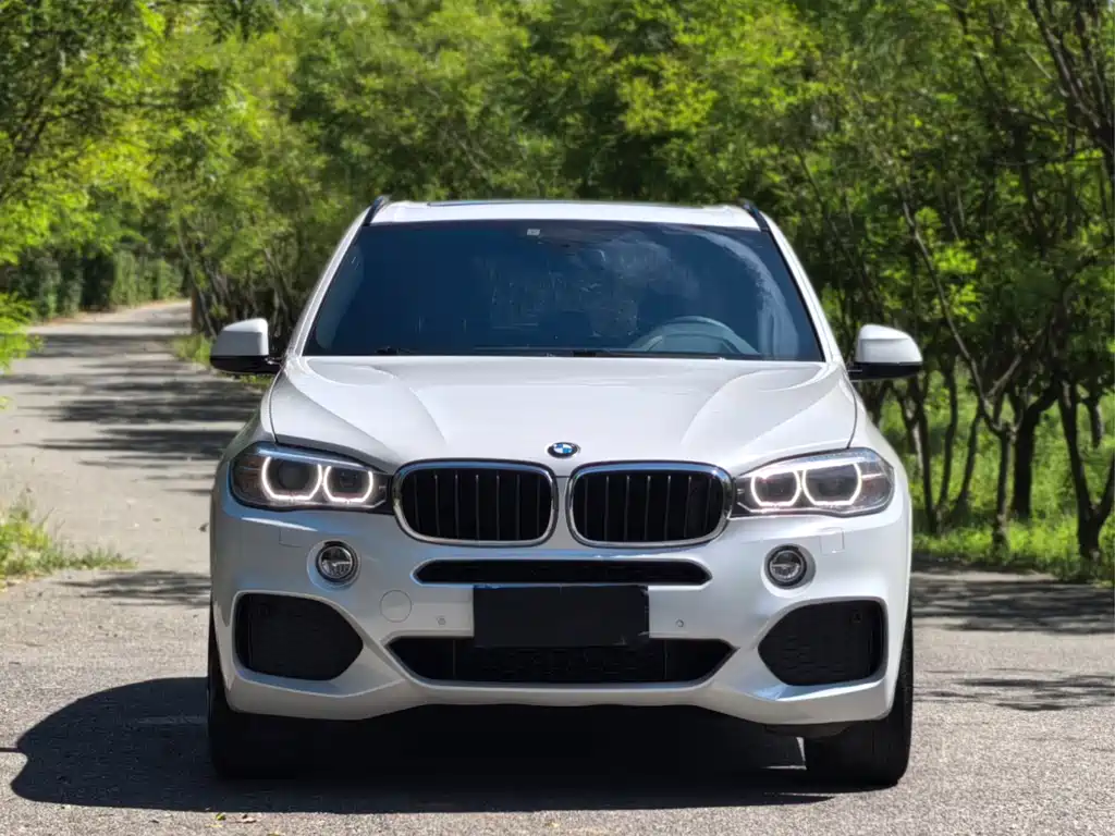BMW X5 (Import) — миниатюра 2
