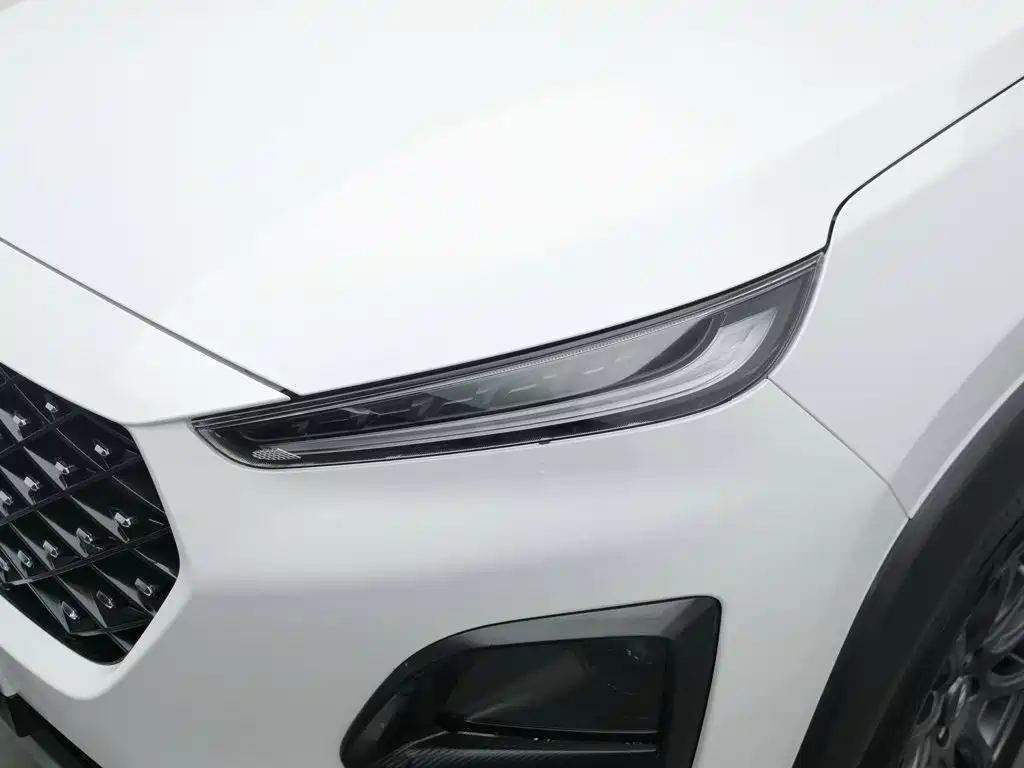 Chery Tiggo 3x — миниатюра 7