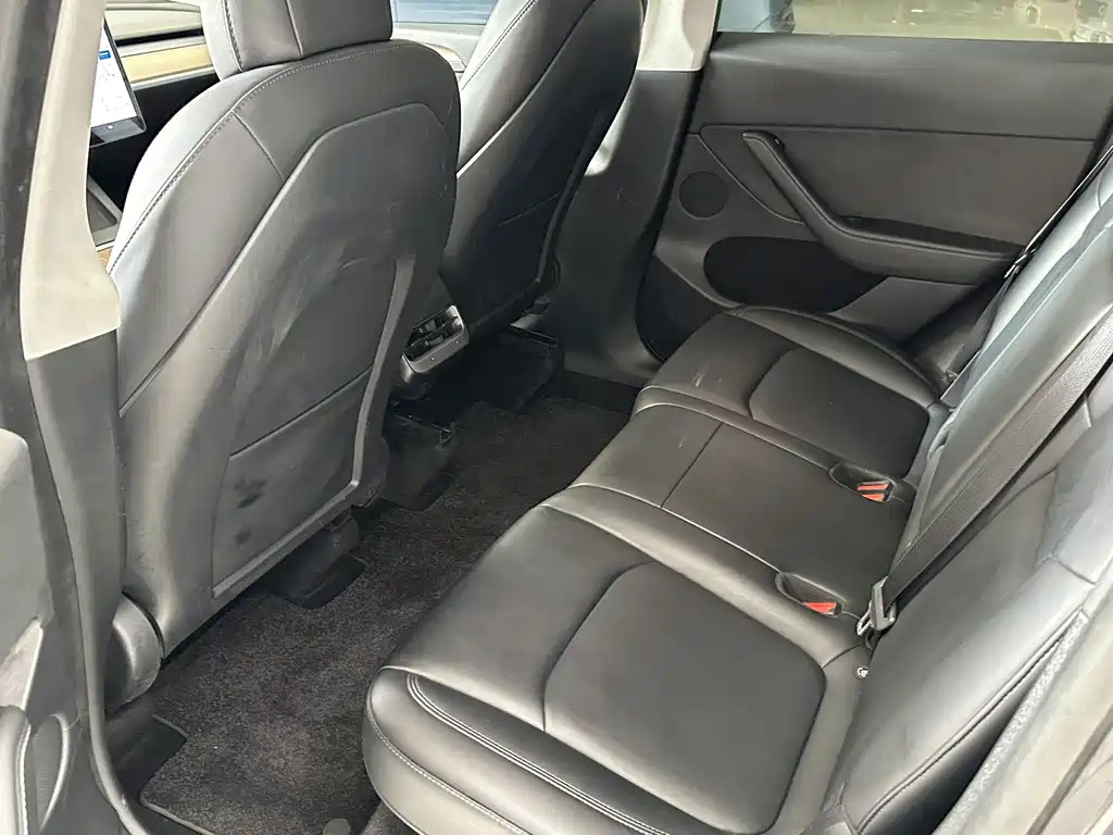 Tesla Model Y — миниатюра 10