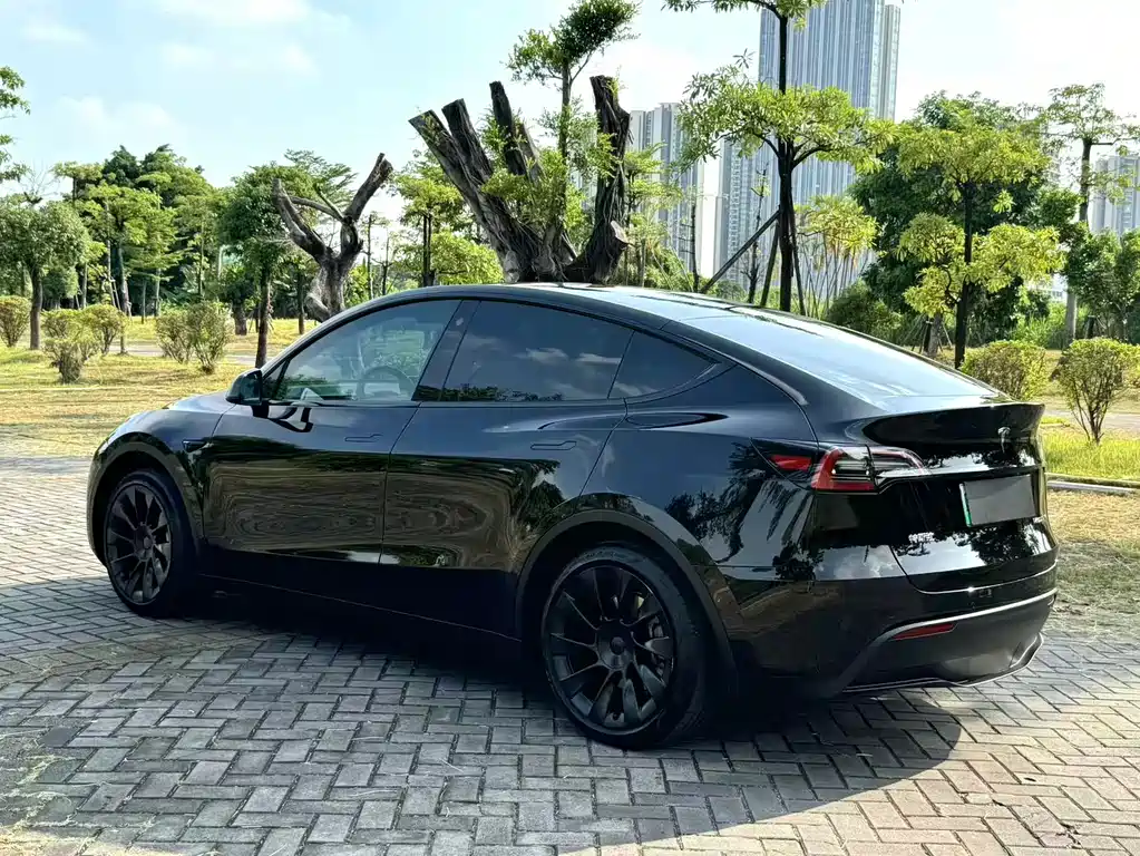 Tesla Model Y — миниатюра 6