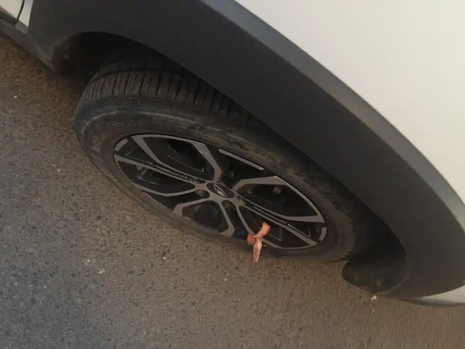 Chery Tiggo 3x — миниатюра 6