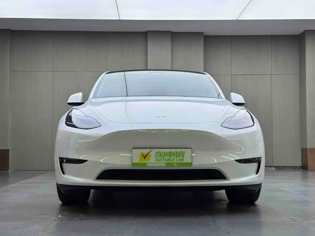 Tesla Model Y — миниатюра 2