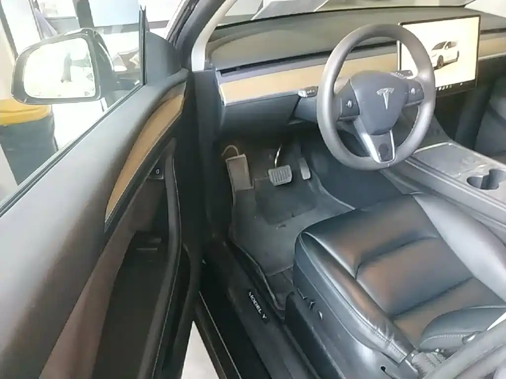 Tesla Model Y — миниатюра 16