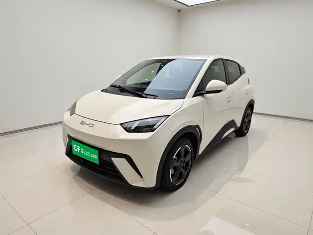 2024 BYD Seagull