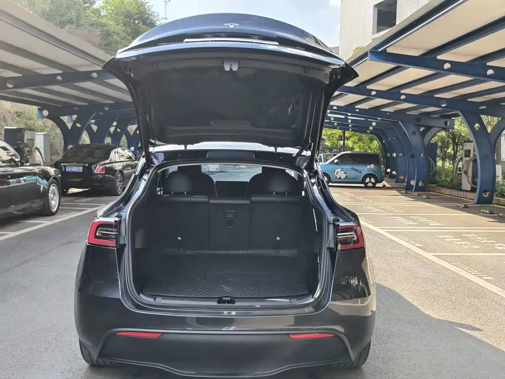 Tesla Model Y — миниатюра 11