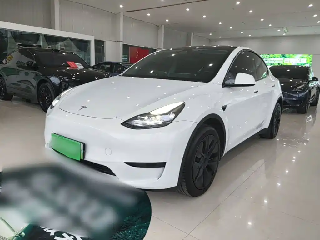 Tesla Model Y — миниатюра 2