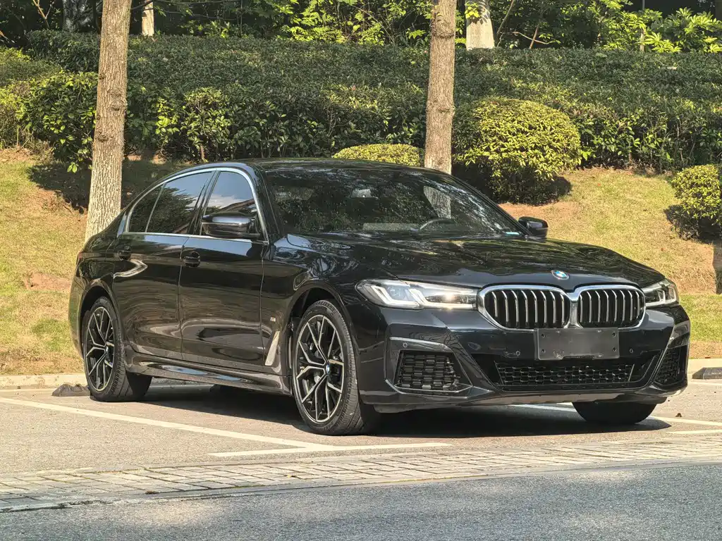 BMW 5 Series — миниатюра 3