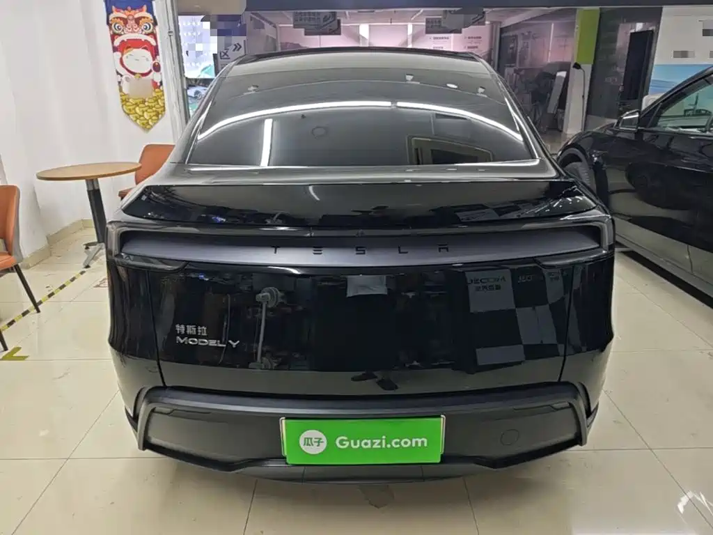 Tesla Model Y — миниатюра 6