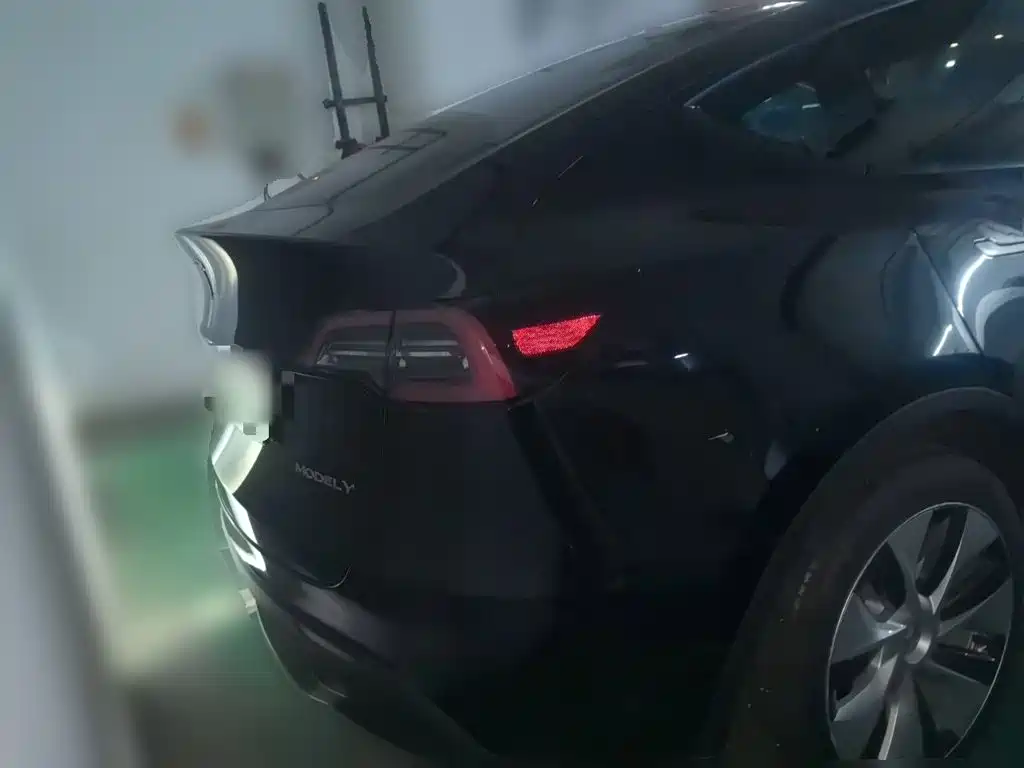 Tesla Model Y — миниатюра 5