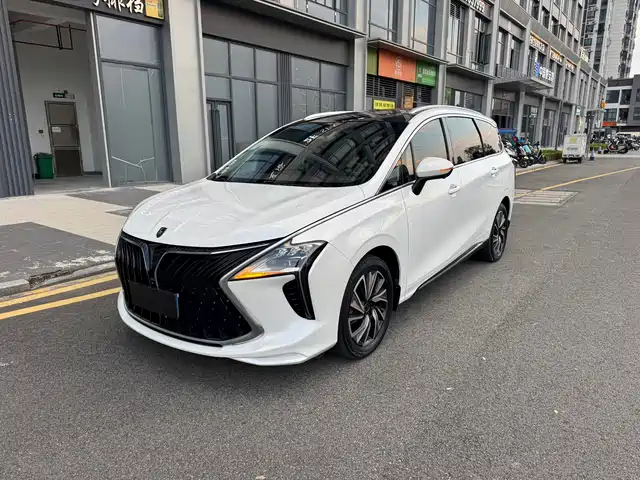 Dongfeng Forthing Forthing Yacht