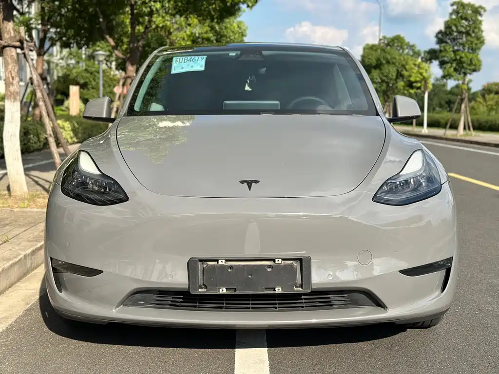 Tesla Model Y — миниатюра 2