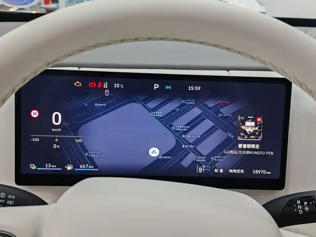 WEI PAI WEI BRAND BLUE MOUNTAIN