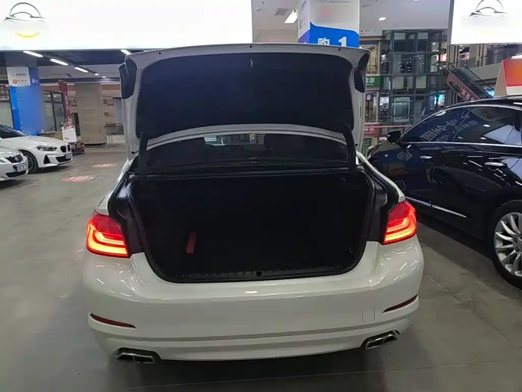 BMW 5 Series — миниатюра 19