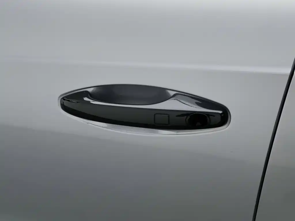 Haval Chitu — миниатюра 18