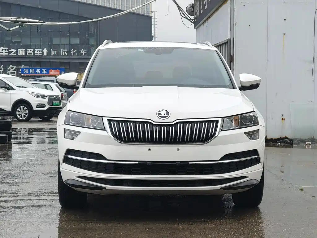 Skoda Karoq TSI280 Premium Edition, фото 2