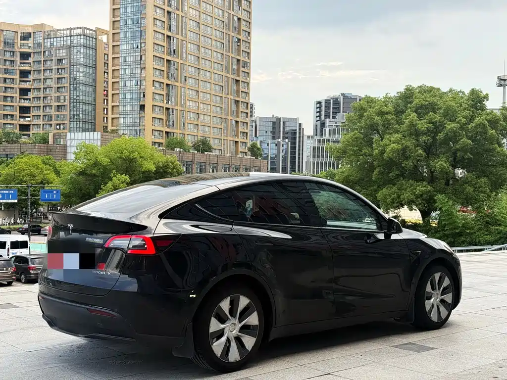 Tesla Model Y — миниатюра 4