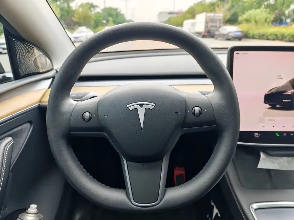 Tesla Model Y — миниатюра 14