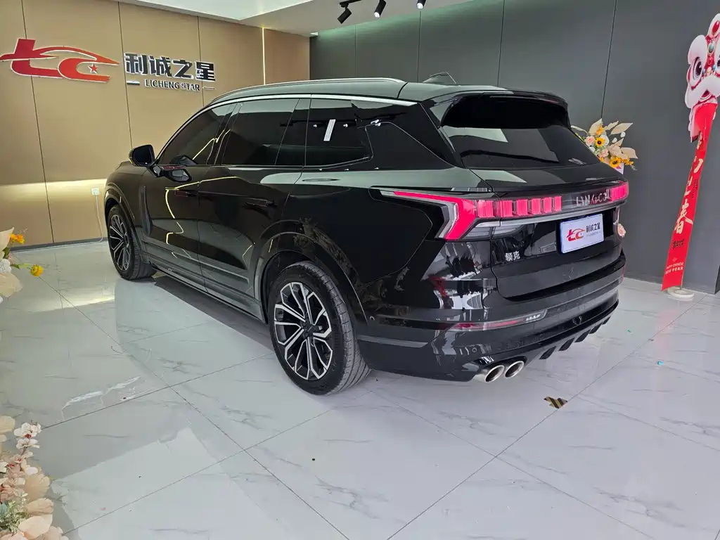 Lynk & Co 09 2024 2.0T мест
