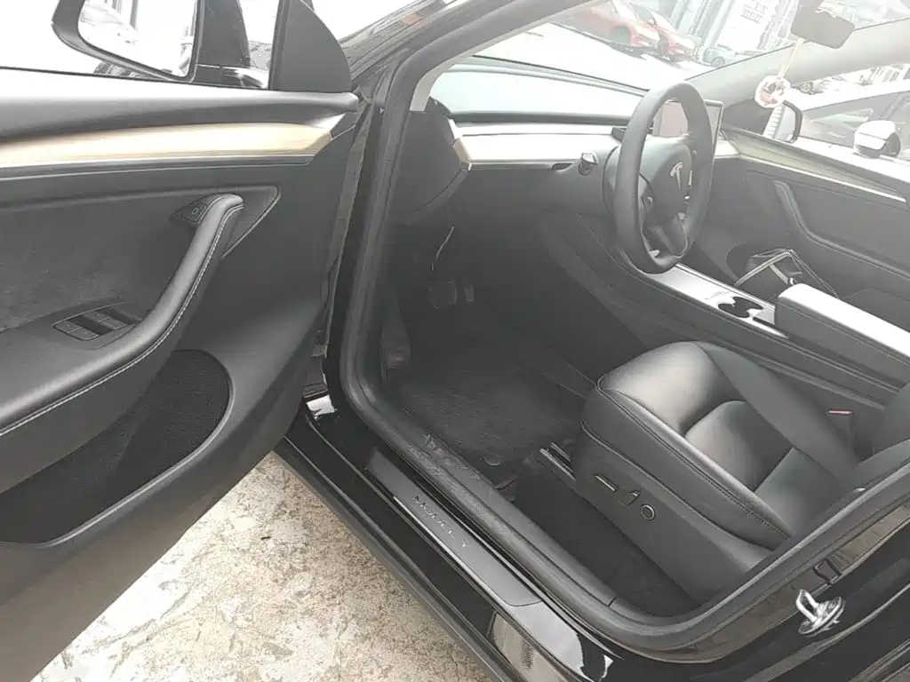 Tesla Model Y — миниатюра 16