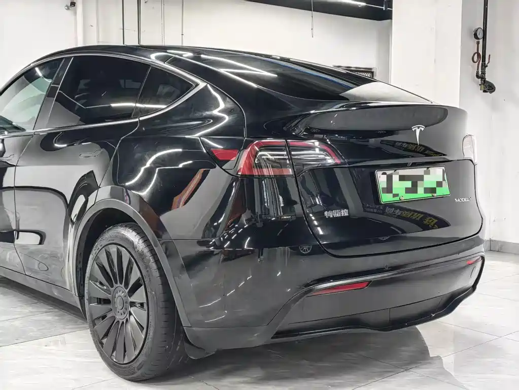 Tesla Model Y — миниатюра 11