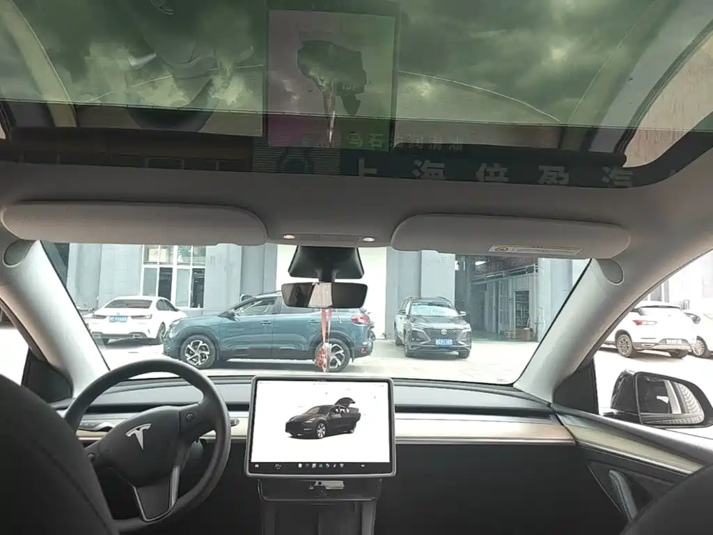 Tesla Model Y — миниатюра 18