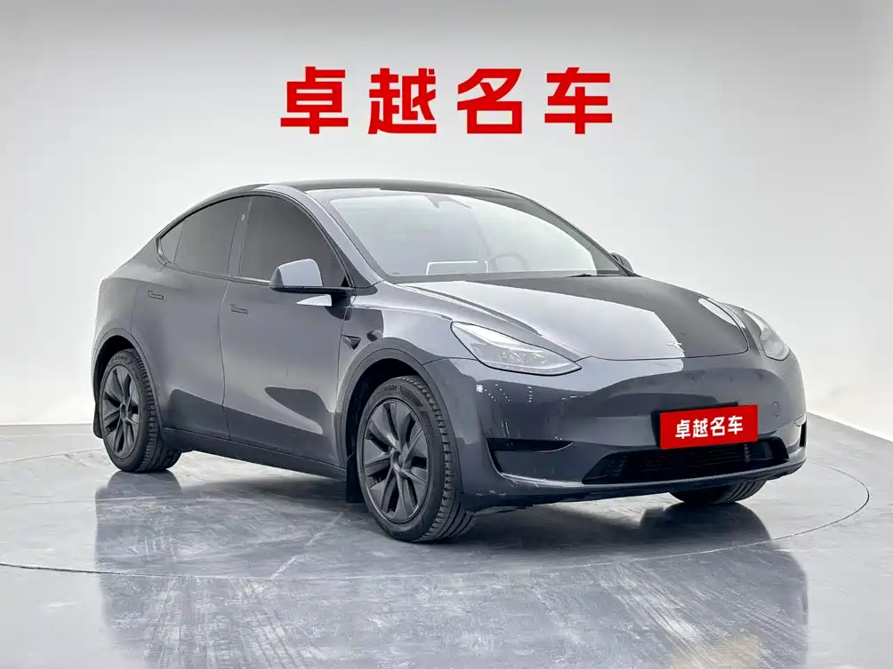 Tesla Model Y — миниатюра 4