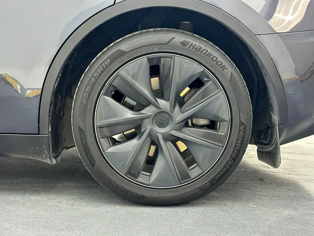 Tesla Model Y — миниатюра 9