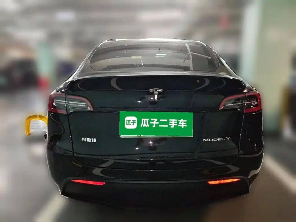 Tesla Model Y — миниатюра 3