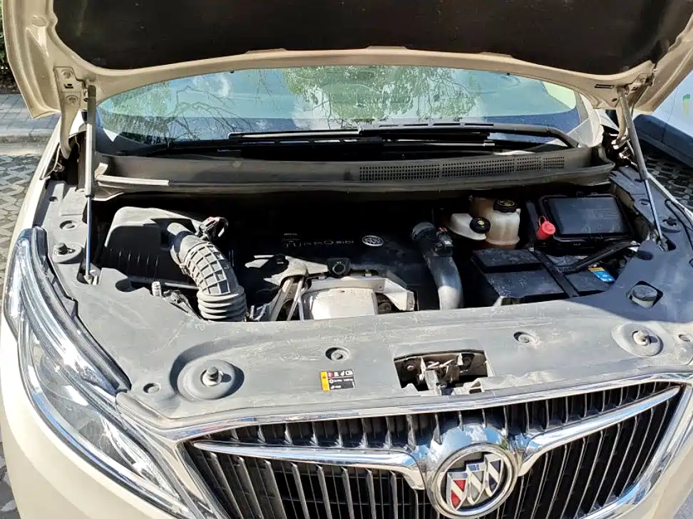 Buick GL8 — миниатюра 6