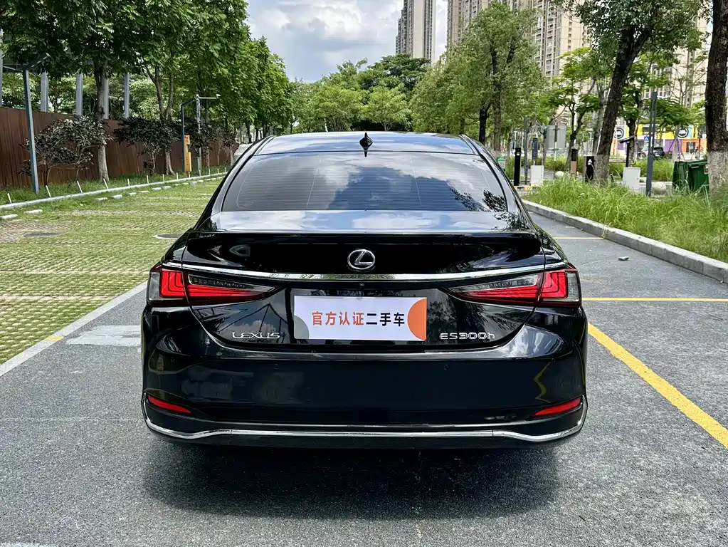 Lexus ES 2018 260 VI