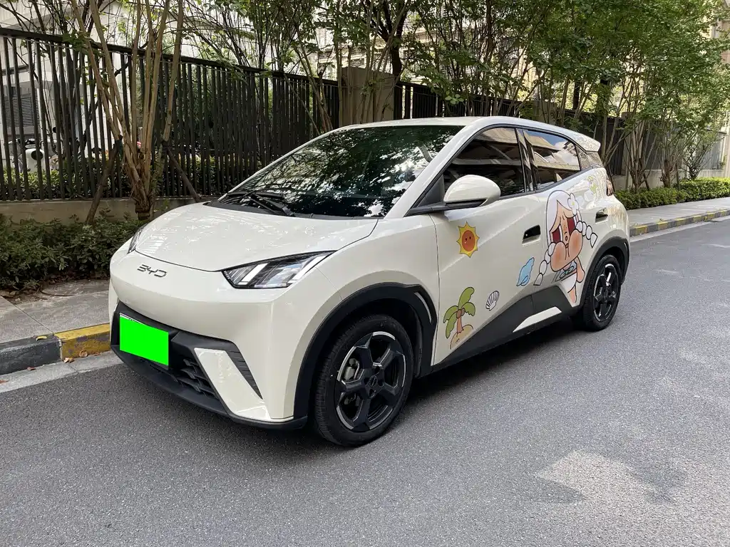 BYD Seagull