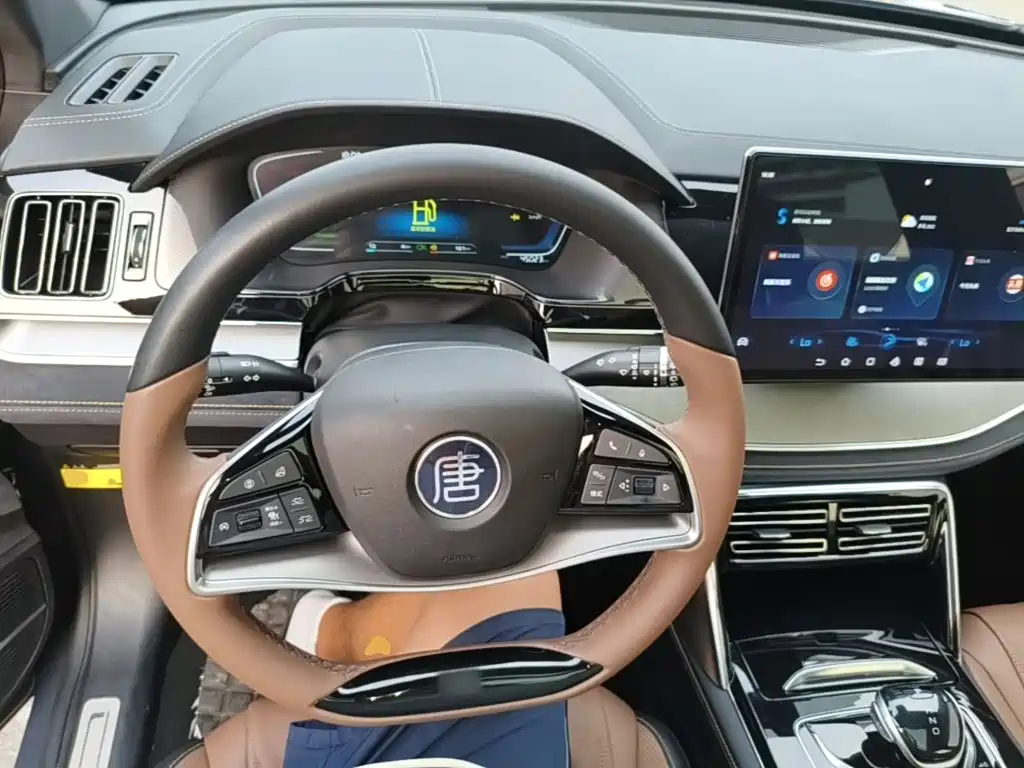 BYD Tang New Energy — миниатюра 11