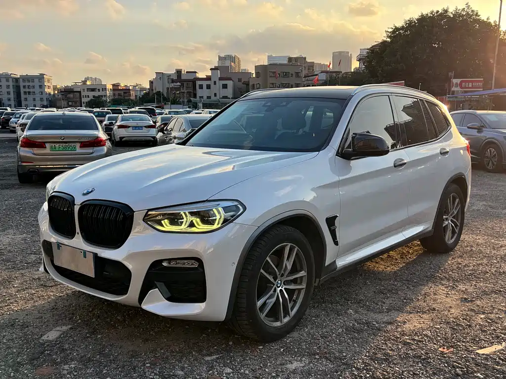 BMW X3 2018 xDrive30i Lead M Sport V